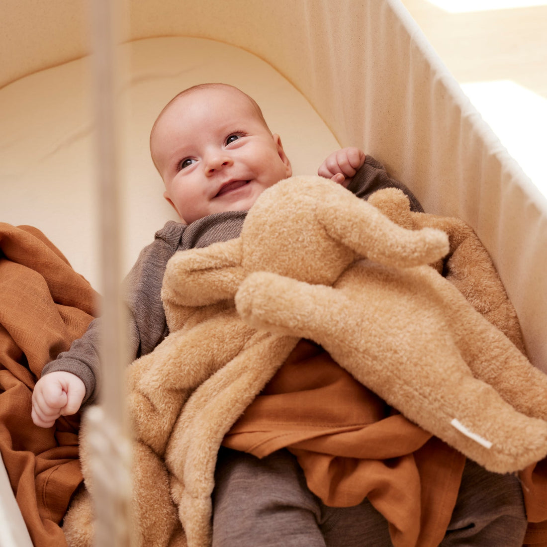 Mental Leaps - Follow your baby's development