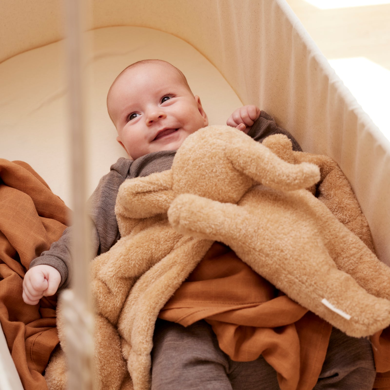 Mental Leaps - Follow your baby's development